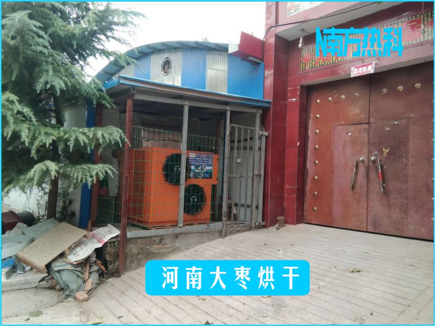 河南大棗烘干