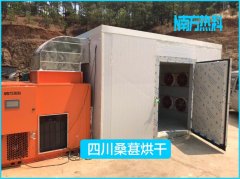 桑葚采用空氣能熱泵烘干，節(jié)能省心品質(zhì)佳